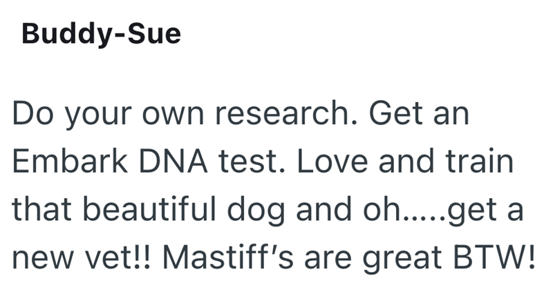 Buddy-Sue Do your own research. Get an Embark DNA test. Love and train that beautiful dog and oh.....get a new vet!! Mastiff's are great BTW!