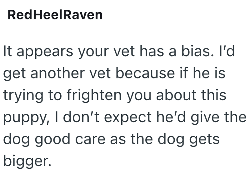 RedHeelRaven It appears your vet has a bias. I'd get another vet because if he is trying to frighten you about this puppy, I don't expect he'd give the dog good care as the dog gets bigger.