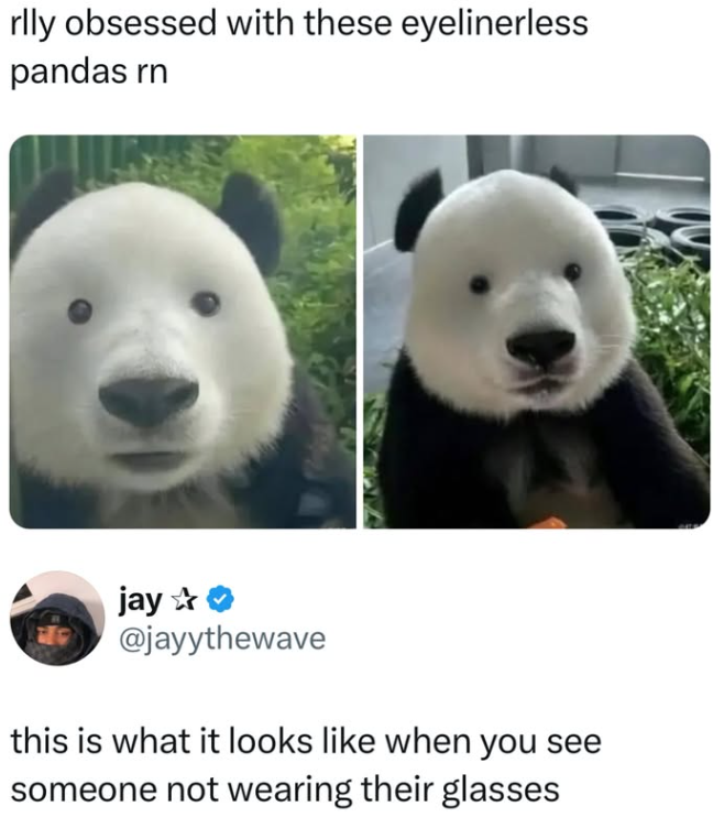rlly obsessed with these eyelinerless pandas rn jay ✰ @jayythewave this is what it looks like when you see someone not wearing their glasses
