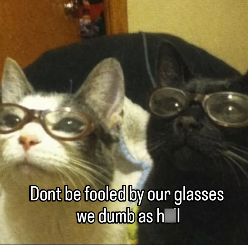 Dont be fooled by our glasses we dumb as h