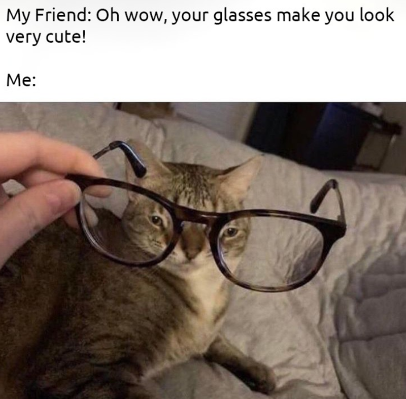 My Friend: Oh wow, your glasses make you look very cute! Me: