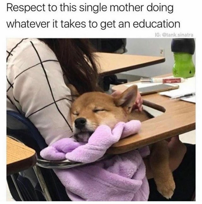Respect to this single mother doing whatever it takes to get an education IG: @tank.sinatra