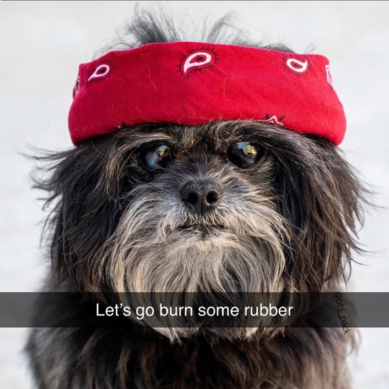 D @pbj_pack Let's go burn some rubber