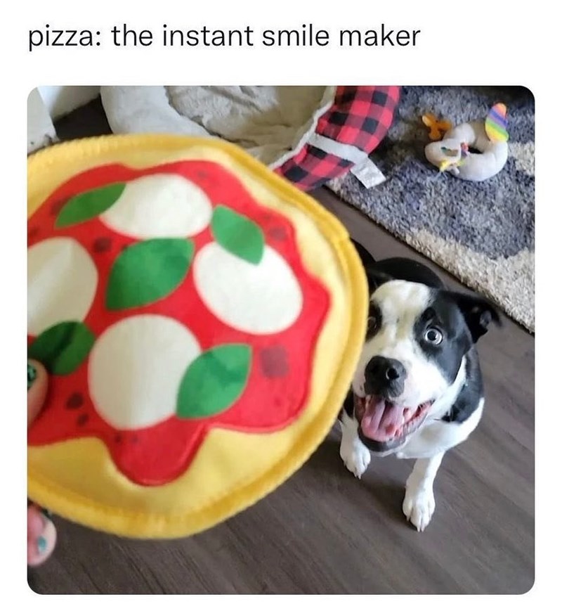 pizza: the instant smile maker