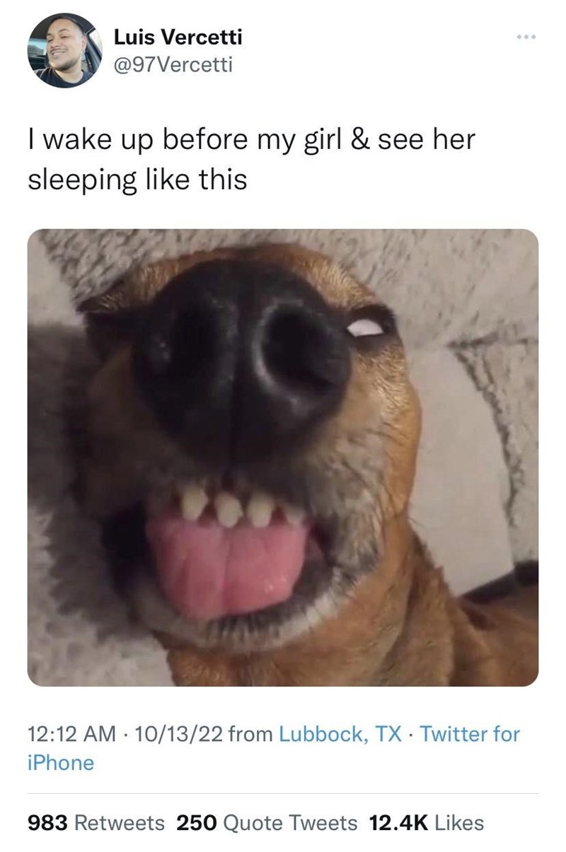 Luis Vercetti @97Vercetti I wake up before my girl & see her sleeping like this 12:12 AM 10/13/22 from Lubbock, TX Twitter for iPhone 983 Retweets 250 Quote Tweets 12.4K Likes