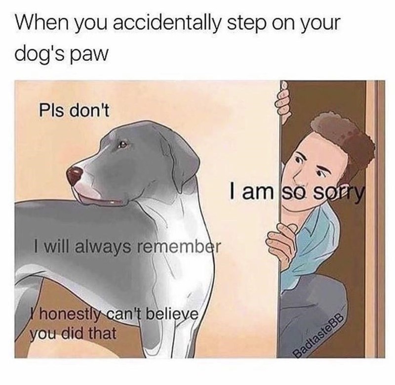 When you accidentally step on your dog's paw Pls don't I will always remember honestly can't believe you did that I am so sorry BadtasteBB