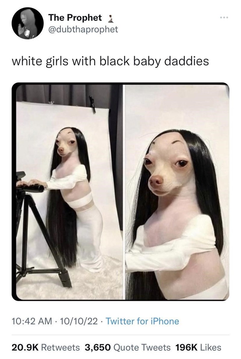 The Prophet1 @dubthaprophet white girls with black baby daddies 10:42 AM 10/10/22 Twitter for iPhone 20.9K Retweets 3,650 Quote Tweets 196K Likes