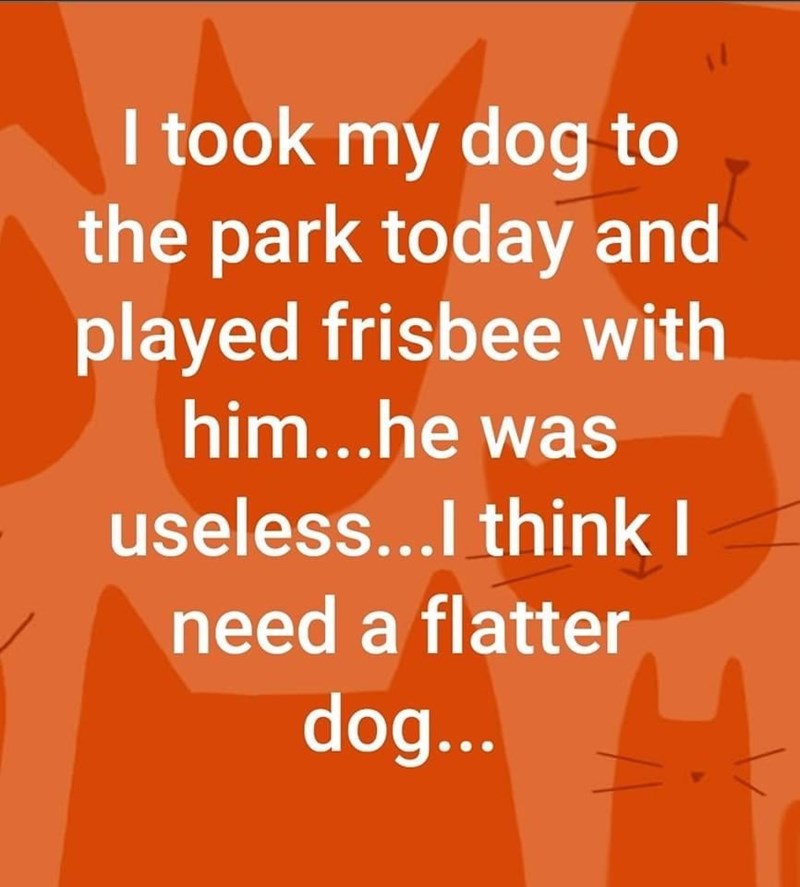 I took my dog to the park today and played frisbee with him...he was useless...I think I need a flatter dog...