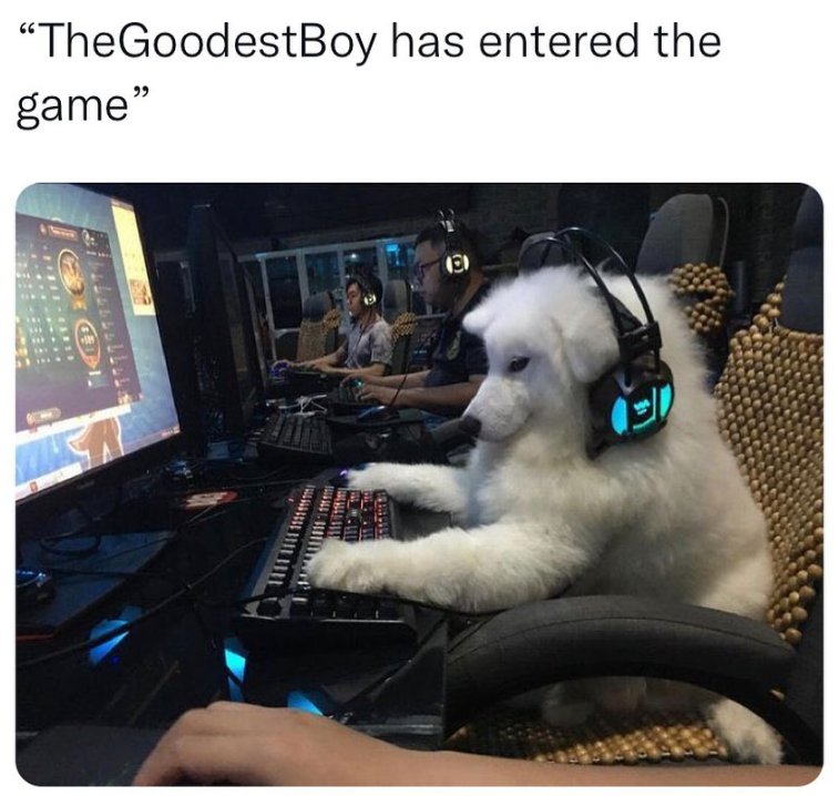 ייוויד. "TheGoodestBoy has entered the game" (a)