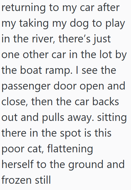 returning to my car after my taking my dog to play in the river, there's just one other car in the lot by the boat ramp. I see the passenger door open and close, then the car backs out and pulls away. sitting there in the spot is this poor cat, flattening herself to the ground and frozen still