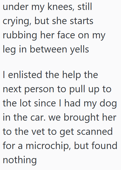 under my knees, still crying, but she starts rubbing her face on my leg in between yells I enlisted the help the next person to pull up to the lot since I had my dog in the car. we brought her to the vet to get scanned for a microchip, but found nothing