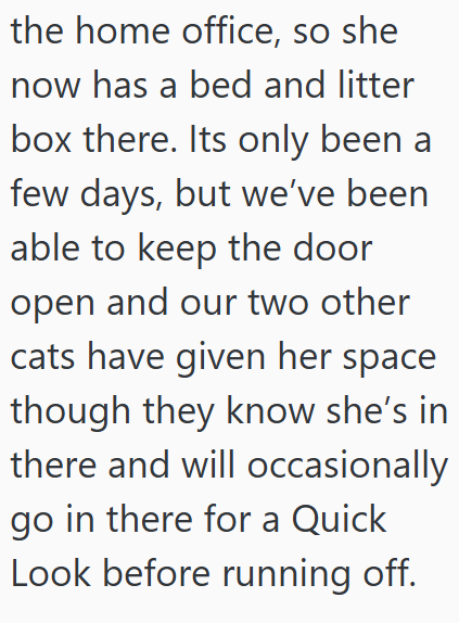 the home office, so she now has a bed and litter box there. Its only been a few days, but we've been able to keep the door open and our two other cats have given her space though they know she's in there and will occasionally go in there for a Quick Look before running off.
