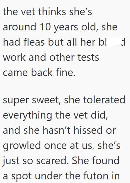 the vet thinks she's around 10 years old, she had fleas but all her bl work and other tests came back fine. d super sweet, she tolerated everything the vet did, and she hasn't hissed or growled once at us, she's just so scared. She found a spot under the futon in
