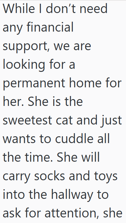 While I don't need any financial support, we are looking for a permanent home for her. She is the sweetest cat and just wants to cuddle all the time. She will carry socks and toys into the hallway to ask for attention, she