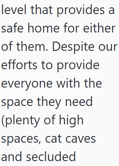 level that provides a safe home for either of them. Despite our efforts to provide everyone with the space they need (plenty of high spaces, cat caves and secluded