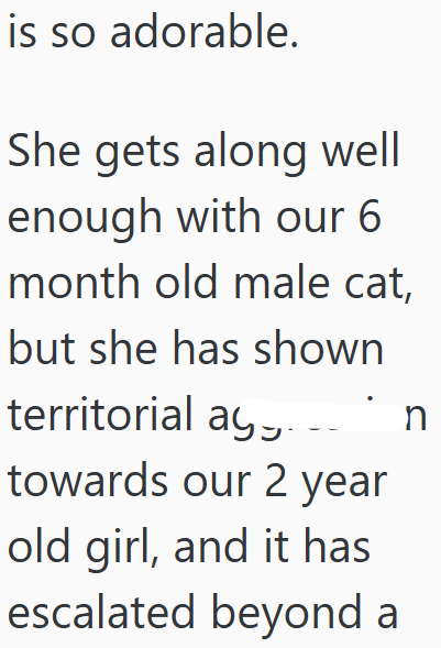 is so adorable. She gets along well enough with our 6 month old male cat, but she has shown territorial a towards our 2 year old girl, and it has escalated beyond a n