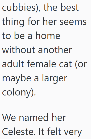 cubbies), the best thing for her seems to be a home without another adult female cat (or maybe a larger colony). We named her Celeste. It felt very