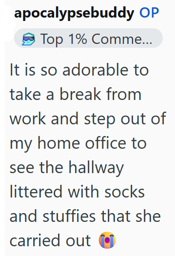 apocalypsebuddy OP Top 1% Comme... It is so adorable to take a break from work and step out of my home office to see the hallway littered with socks and stuffies that she carried out