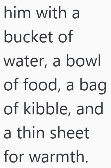 him with a bucket of water, a bowl of food, a bag of kibble, and a thin sheet for warmth.