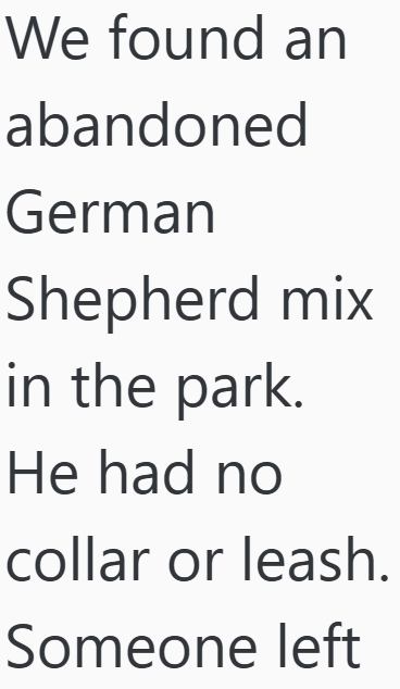 We found an abandoned German Shepherd mix in the park. He had no collar or leash. Someone left
