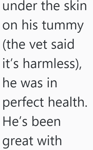 under the skin on his tummy (the vet said it's harmless), he was in perfect health. He's been great with