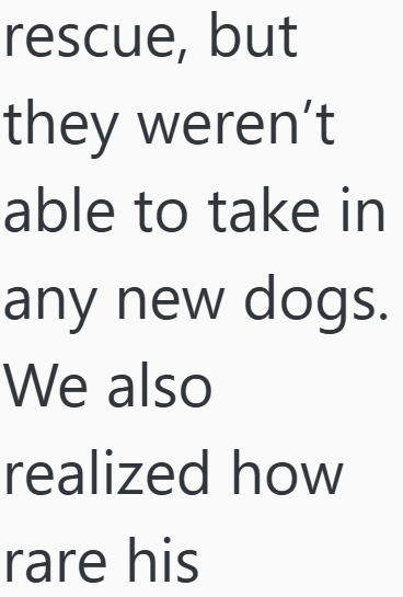 rescue, but they weren't able to take in any new dogs. We also realized how rare his
