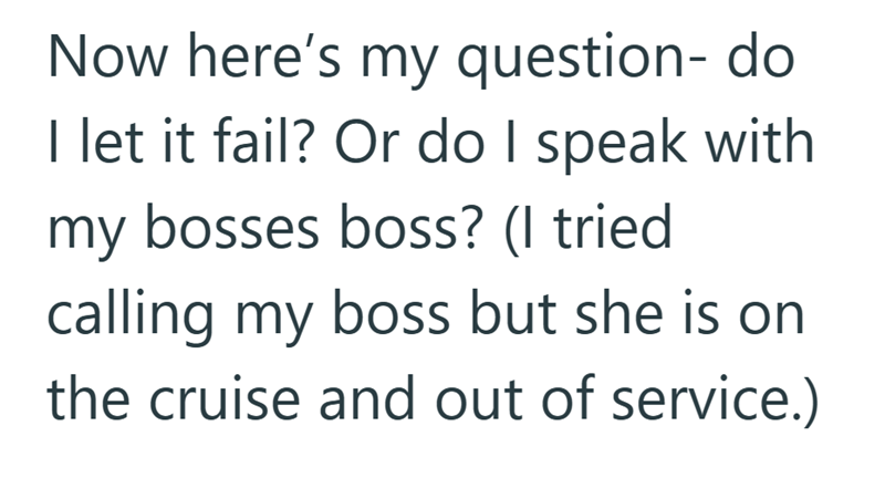 Now here's my question- do I let it fail? Or do I speak with my bosses boss? (I tried calling my boss but she is on the cruise and out of service.)