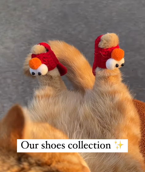 Our shoes collection