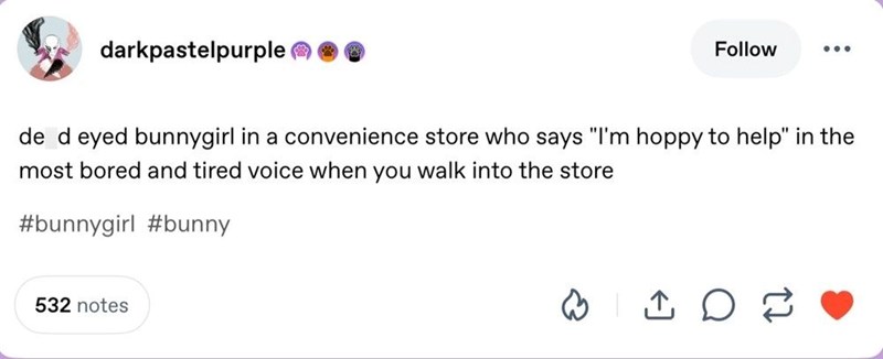 darkpastelpurple Follow de d eyed bunnygirl in a convenience store who says "I'm hoppy to help" in the most bored and tired voice when you walk into the store #bunnygirl #bunny 532 notes
