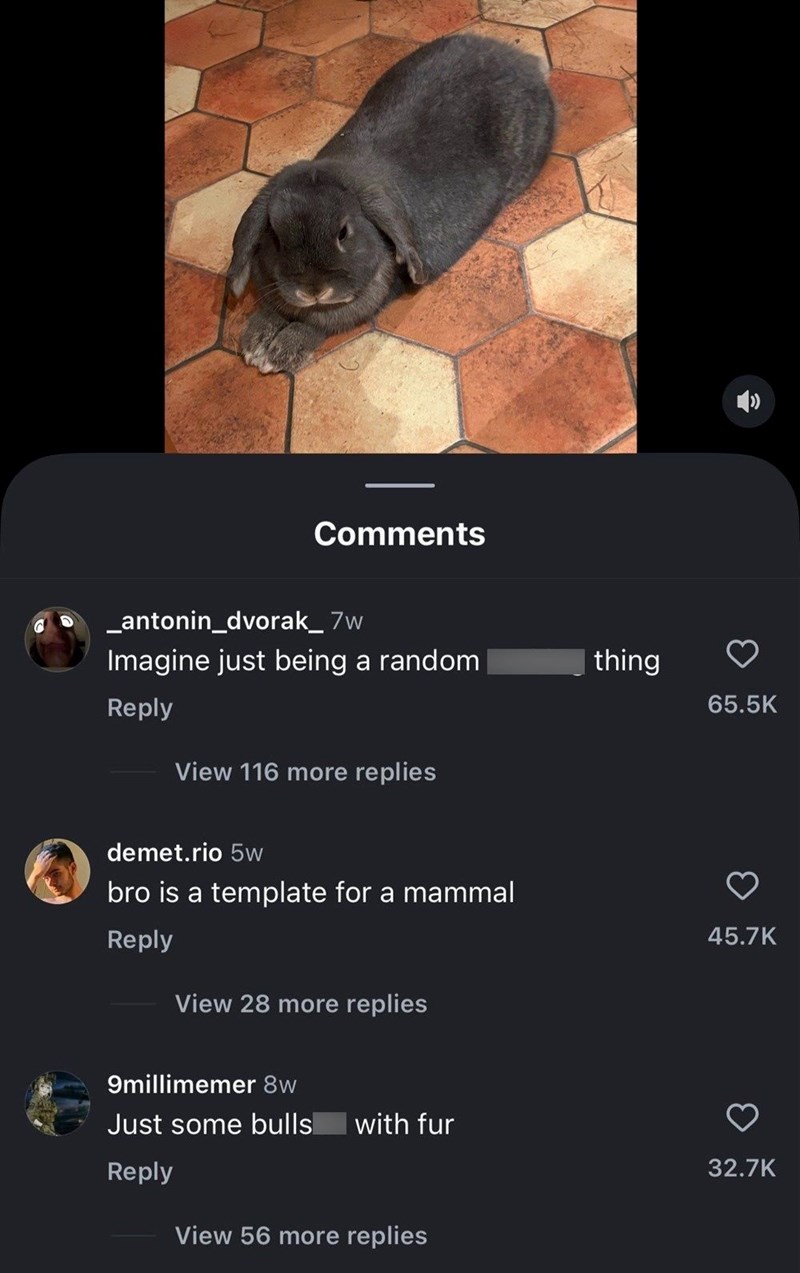 Comments _antonin_dvorak_7w Imagine just being a random Reply View 116 more replies demet.rio 5w bro is a template for a mammal Reply View 28 more replies 9millimemer 8w Just some bulls with fur Reply View 56 more replies thing 65.5K 45.7K 32.7K