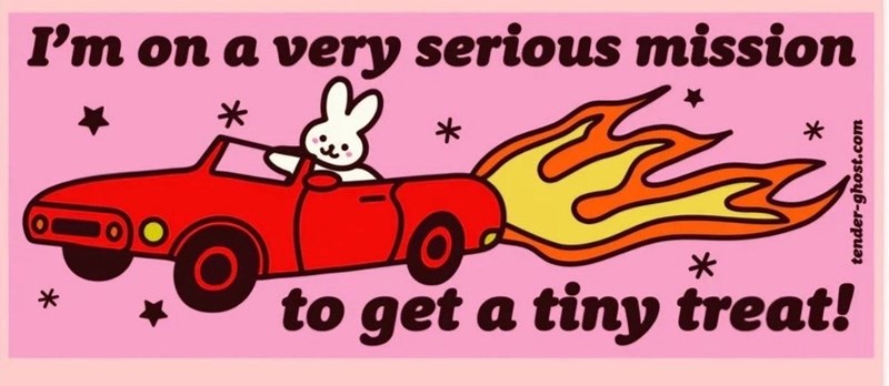 * * I'm on a very serious mission * to get a tiny treat! * * tender-ghost.com