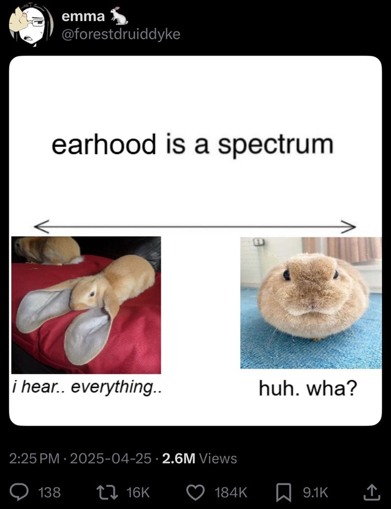 emma @forestdruiddyke earhood is a spectrum i hear.. everything.. 2:25 PM - 2025-04-25 2.6M Views 138 16K huh. wha? 184K 9.1K ↑