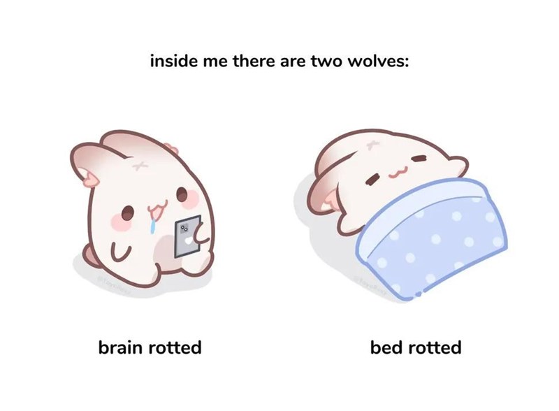 inside me there are two wolves: brain rotted bed rotted