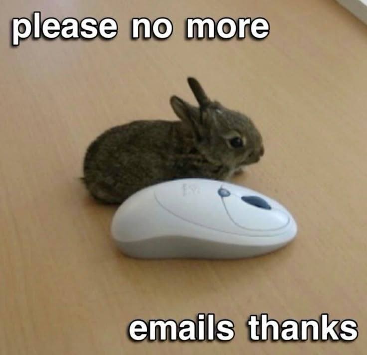 please no more emails thanks