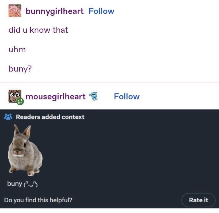 bunnygirlheart Follow did u know that uhm buny? mousegirlheart Readers added context buny (..) Follow Do you find this helpful? Rate it