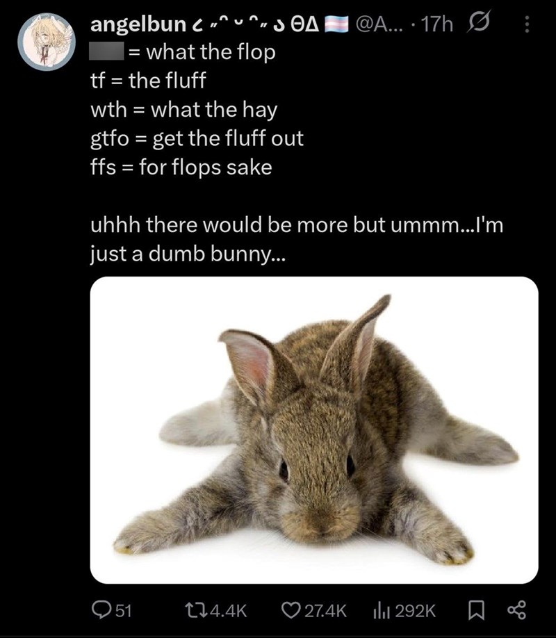angelbun⟫SOA @A.... 17h |= what the flop tf = the fluff wth = what the hay gtfo = get the fluff out ffs = for flops sake uhhh there would be more but ummm...I'm just a dumb bunny... Q51 174.4K 27.4K Ilil 292K ☐