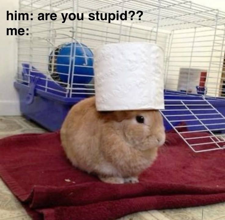 him: are you stupid?? me: