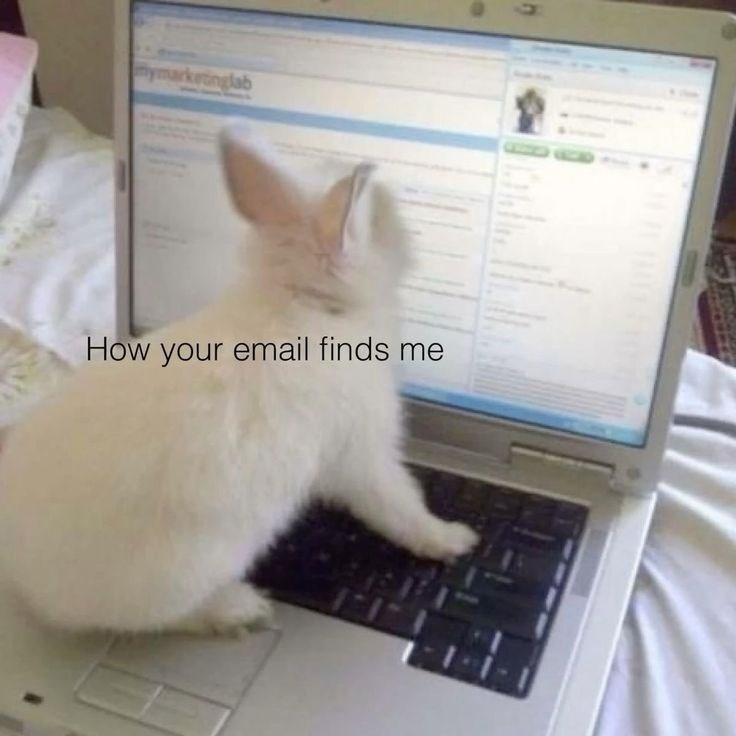 mymarketinglab 10 How your email finds me