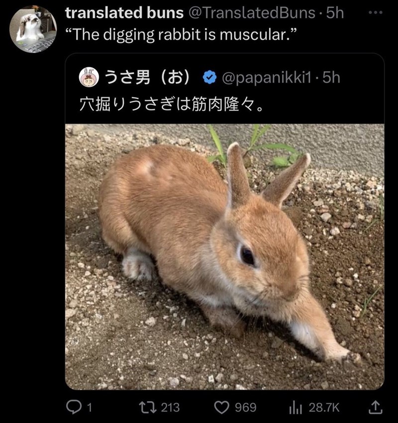 translated buns @Translated Buns - 5h "The digging rabbit is muscular." うさ男 (お) @papanikki1.5h 穴掘りうさぎは筋肉隆々。 Q1 213 969 ili 28.7K 企