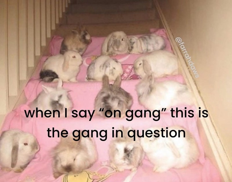 @farrahdaws when I say "on gang" this is the gang in question