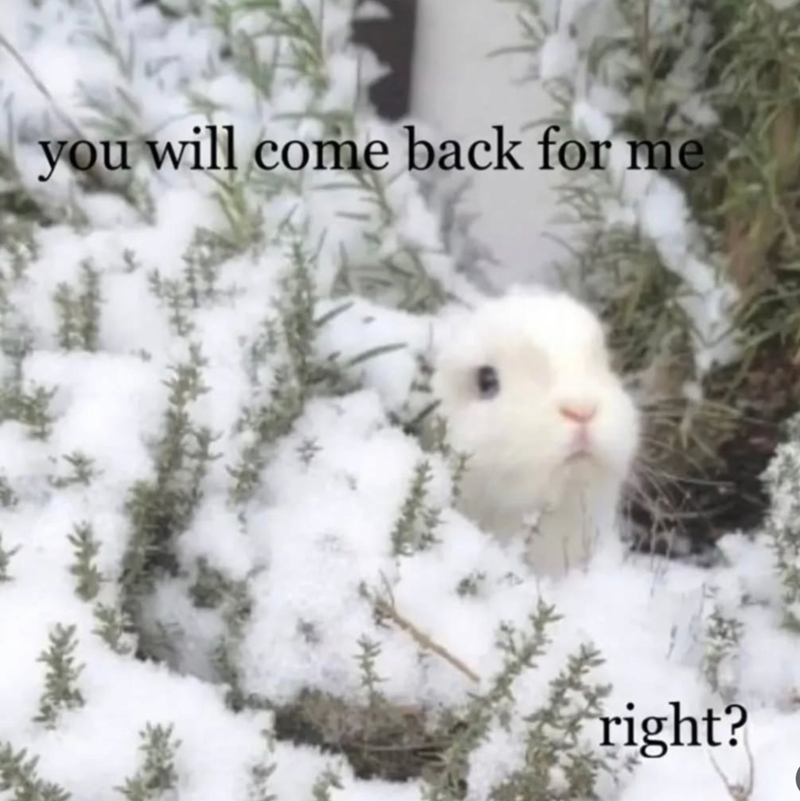 you will come back for me right?