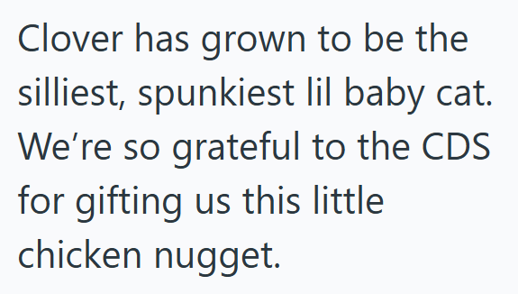 Clover has grown to be the silliest, spunkiest lil baby cat. We're so grateful to the CDS for gifting us this little chicken nugget.