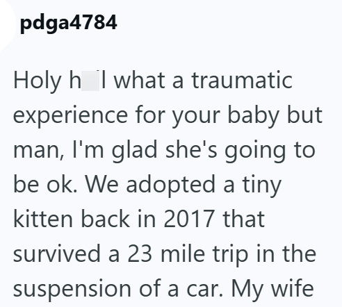 pdga4784 Holy h I what a traumatic experience for your baby but man, I'm glad she's going to be ok. We adopted a tiny kitten back in 2017 that survived a 23 mile trip in the suspension of a car. My wife