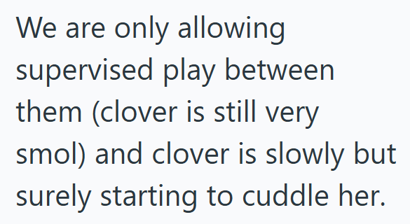 We are only allowing supervised play between them (clover is still very smol) and clover is slowly but surely starting to cuddle her.