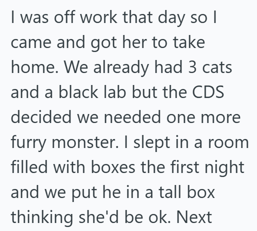 I was off work that day so I came and got her to take home. We already had 3 cats and a black lab but the CDS decided we needed one more furry monster. I slept in a room filled with boxes the first night and we put he in a tall box thinking she'd be ok. Next