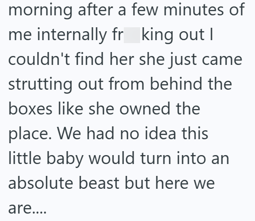 morning after a few minutes of me internally fr king out I couldn't find her she just came strutting out from behind the boxes like she owned the place. We had no idea this little baby would turn into an absolute beast but here we are....