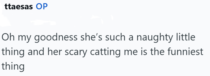 ttaesas OP Oh my goodness she's such a naughty little thing and her scary catting me is the funniest thing