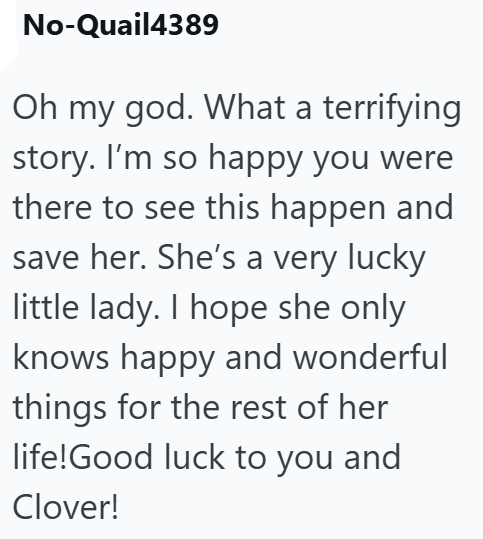 No-Quail4389 Oh my god. What a terrifying story. I'm so happy you were there to see this happen and save her. She's a very lucky little lady. I hope she only knows happy and wonderful things for the rest of her life! Good luck to you and Clover!