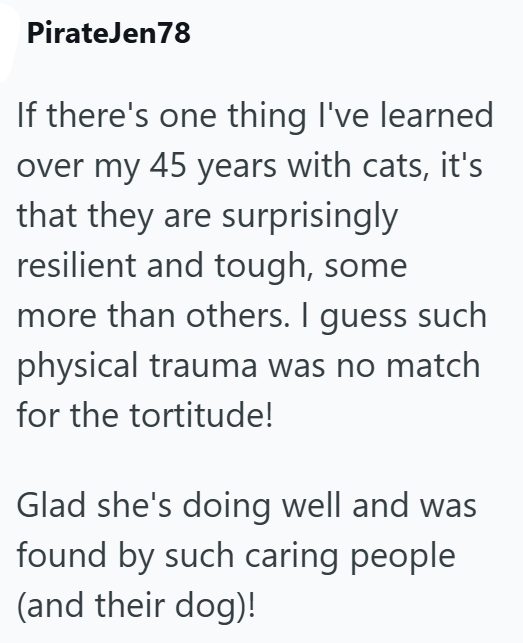 PirateJen78 If there's one thing I've learned over my 45 years with cats, it's that they are surprisingly resilient and tough, some more than others. I guess such physical trauma was no match for the tortitude! Glad she's doing well and was found by such caring people (and their dog)!
