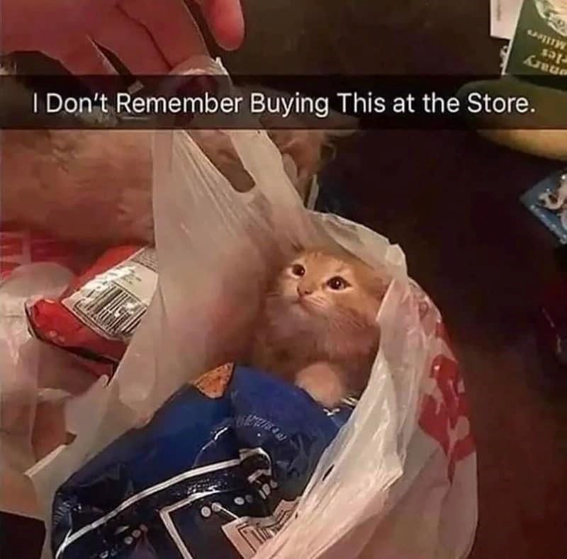I Don't Remember Buying This at the Store. Millers eles nary